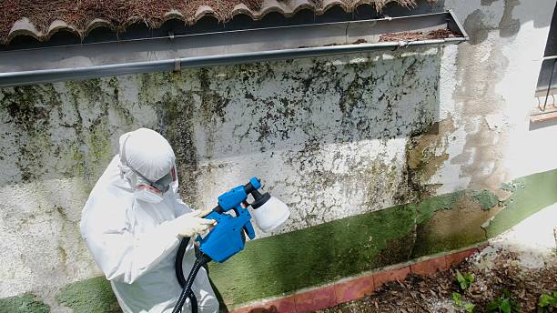 Top rated local Commercial Mold Remediation specialists in Clear Spring, MD